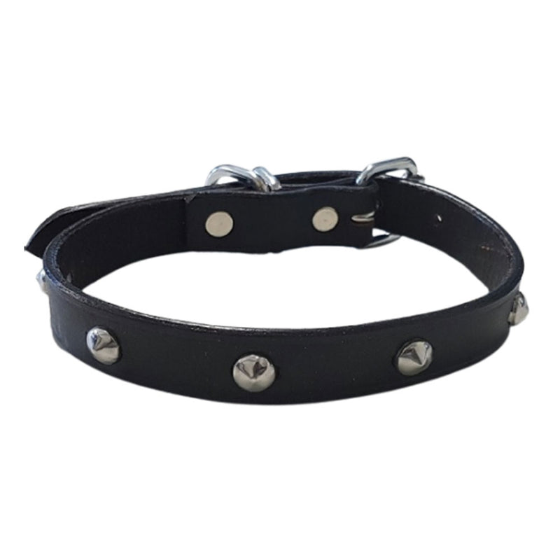 Halsband mit Leder besorgt (schwarz)