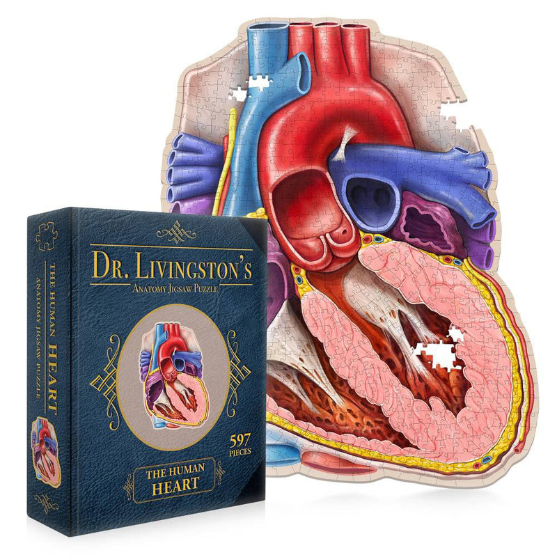 Dr. Livingston's Anatomy Jigsaw Puzzle