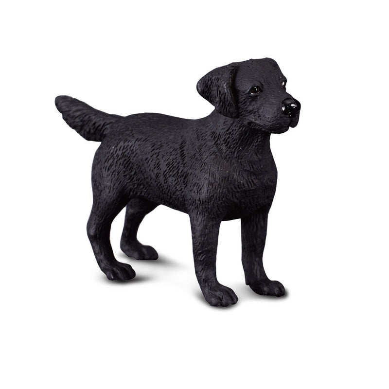 CollectA Labrador Retriever Figure (Medium)