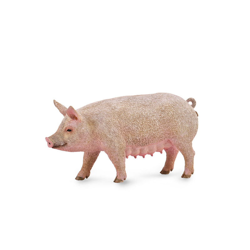  CollectA Schweinefigur (mittel)