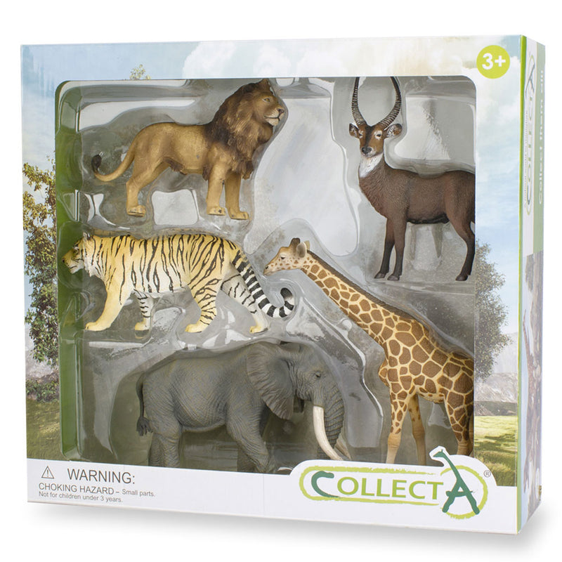 Collecta Wild Life 5-teiliges Geschenkset