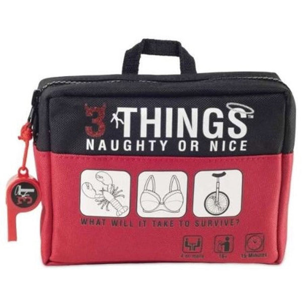 3 Things Naughty or Nice Edition Party Game