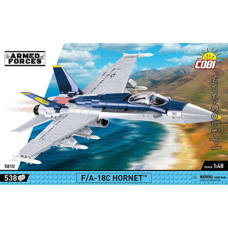  F/A-18C Hornet der Streitkräfte