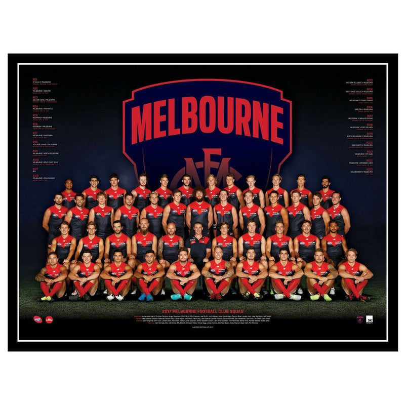 AFL 2017 Teamposter